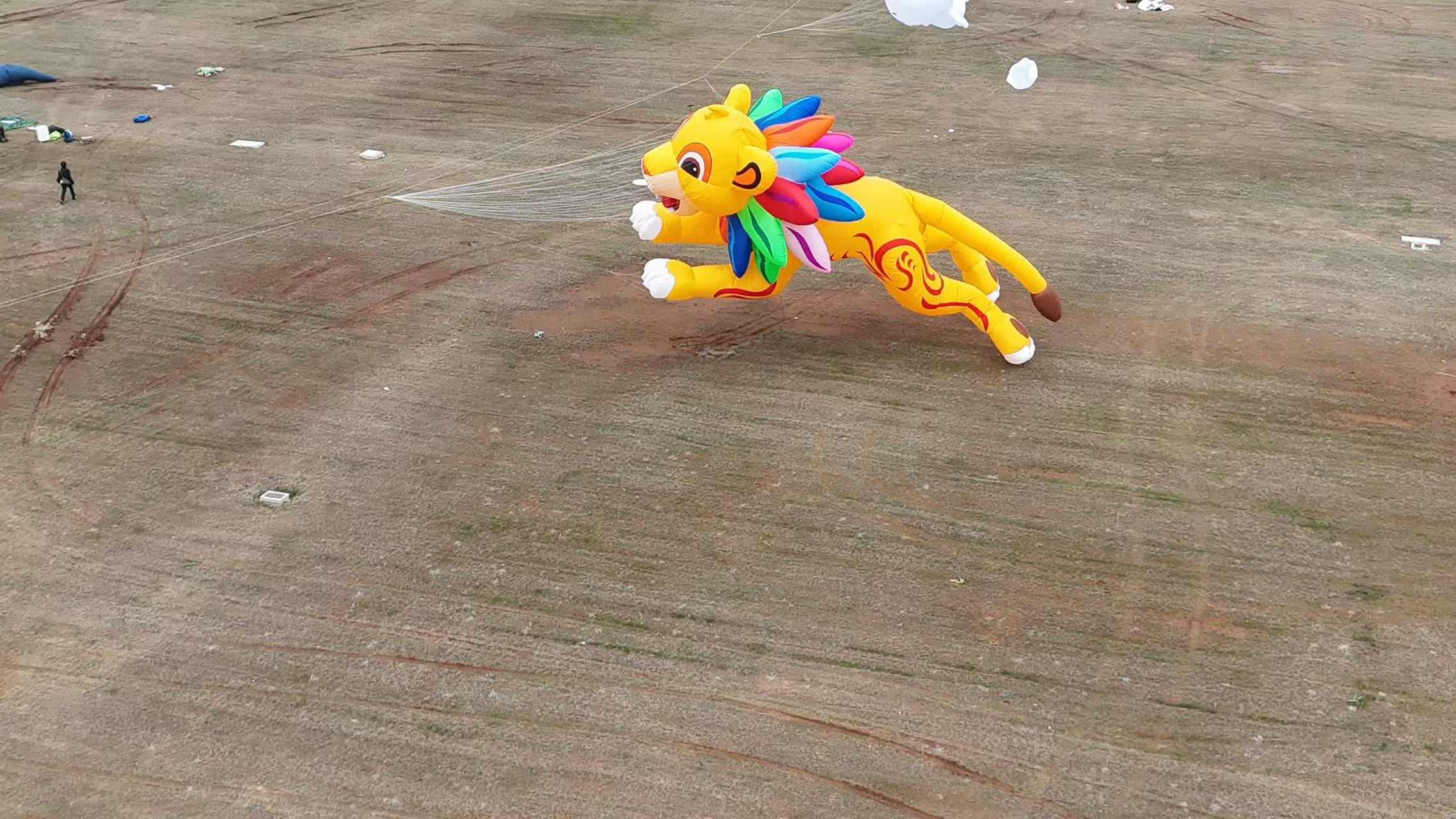 鄂州市品牌风筝定制风筝加工 - 方案