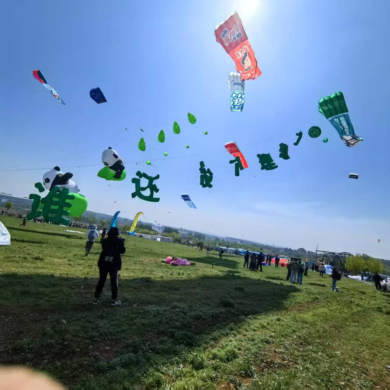 鄂州市宣传风筝定制风筝定制 - 哪里好